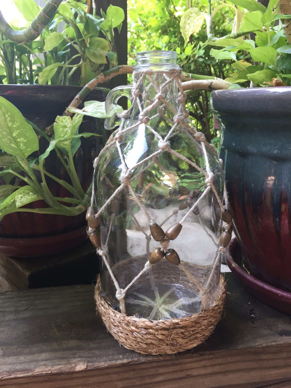 Glass Netted Terrarium Bottles