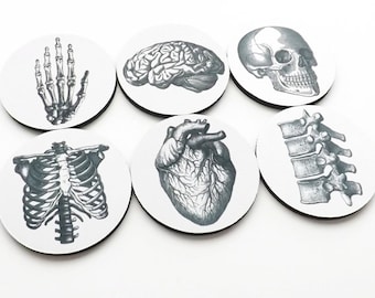 gifts COASTERS hostess graduation doctor nursing Anatomy medical student cardiology skull anatomical heart party favors geekery teacher goth