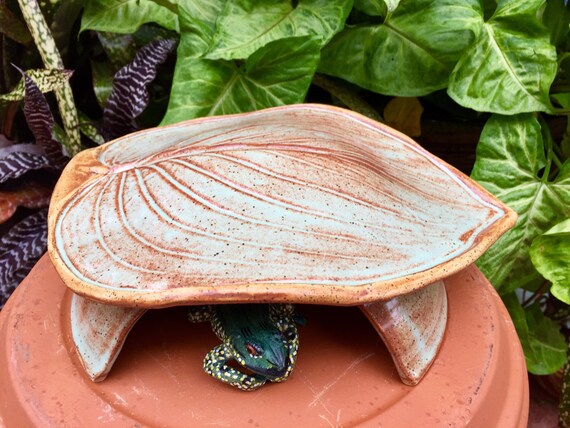 Toad Abode Frog House For Green Gardening Hosta Leaf Unique