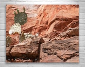 Desert, Bird Art, Southwest Art, Desert Photography, Cactus Art, Tucson, Desert Canyon, Arizona Art, Cacti, Brown, Goldenrod, Khaki, Wren Desert, Bird Art, Southwest Art, Desert Photography, Cactus Art, Tucson, Desert Canyon, Arizona Art, Cacti, Brown, Goldenrod, Khaki, Wren