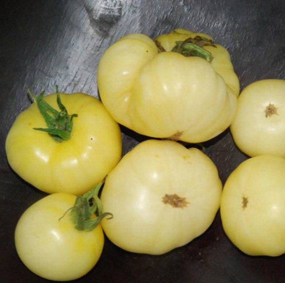 Organic Tomato White Wonder Beefsteak Heirloom Vegetable Seeds