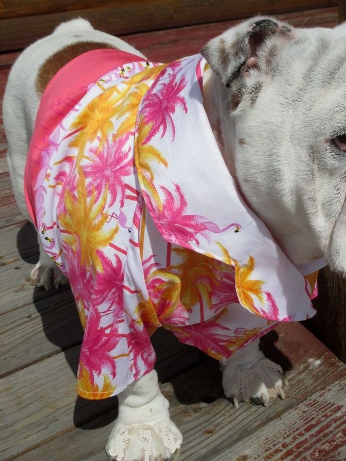 georgia bulldog hawaiian shirt