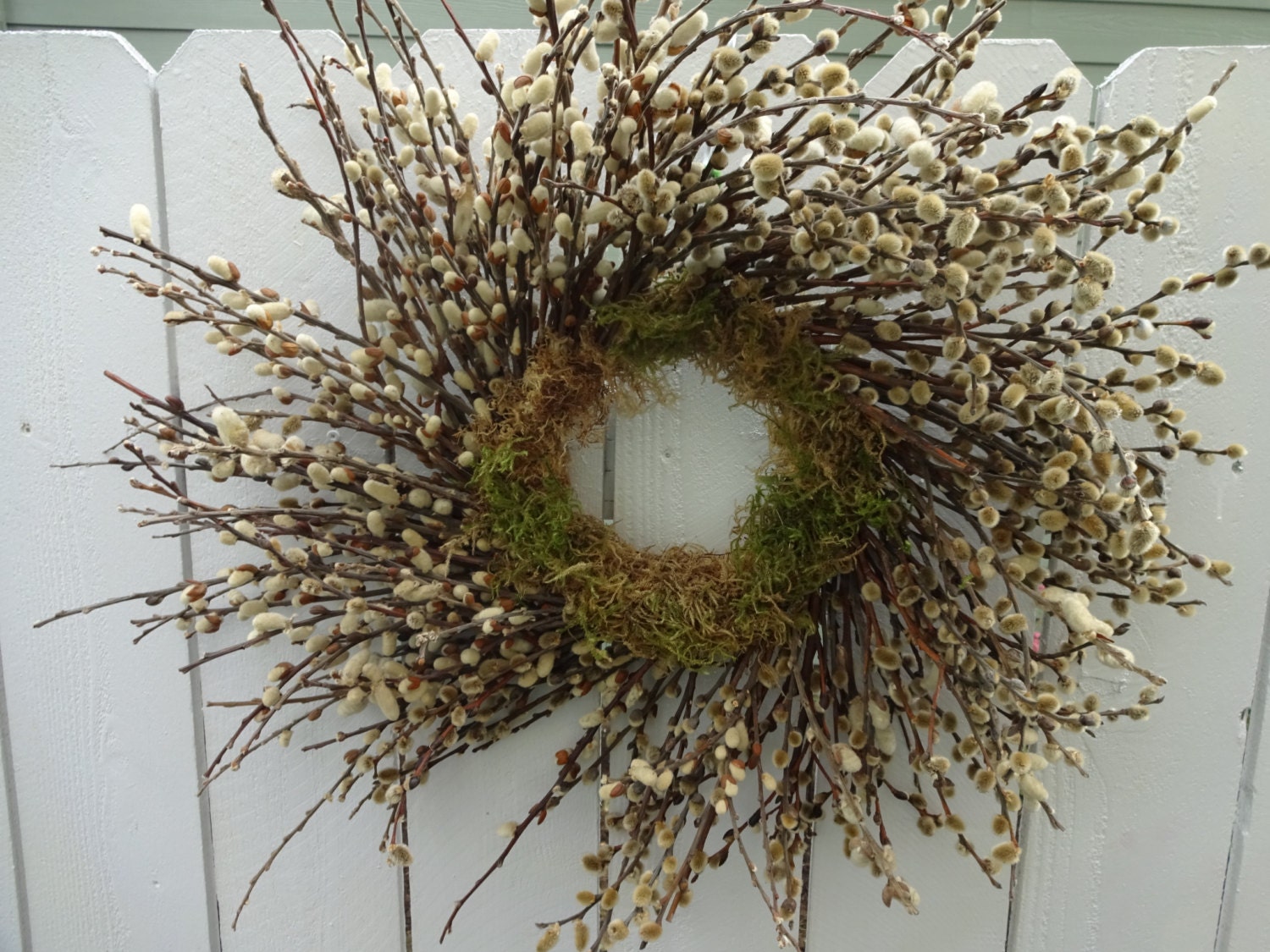 Pussy Willow Wreath 104
