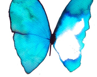 turquoise azure butterfly original watercolour and ink painting