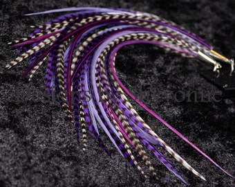 Purple Feather Earrings