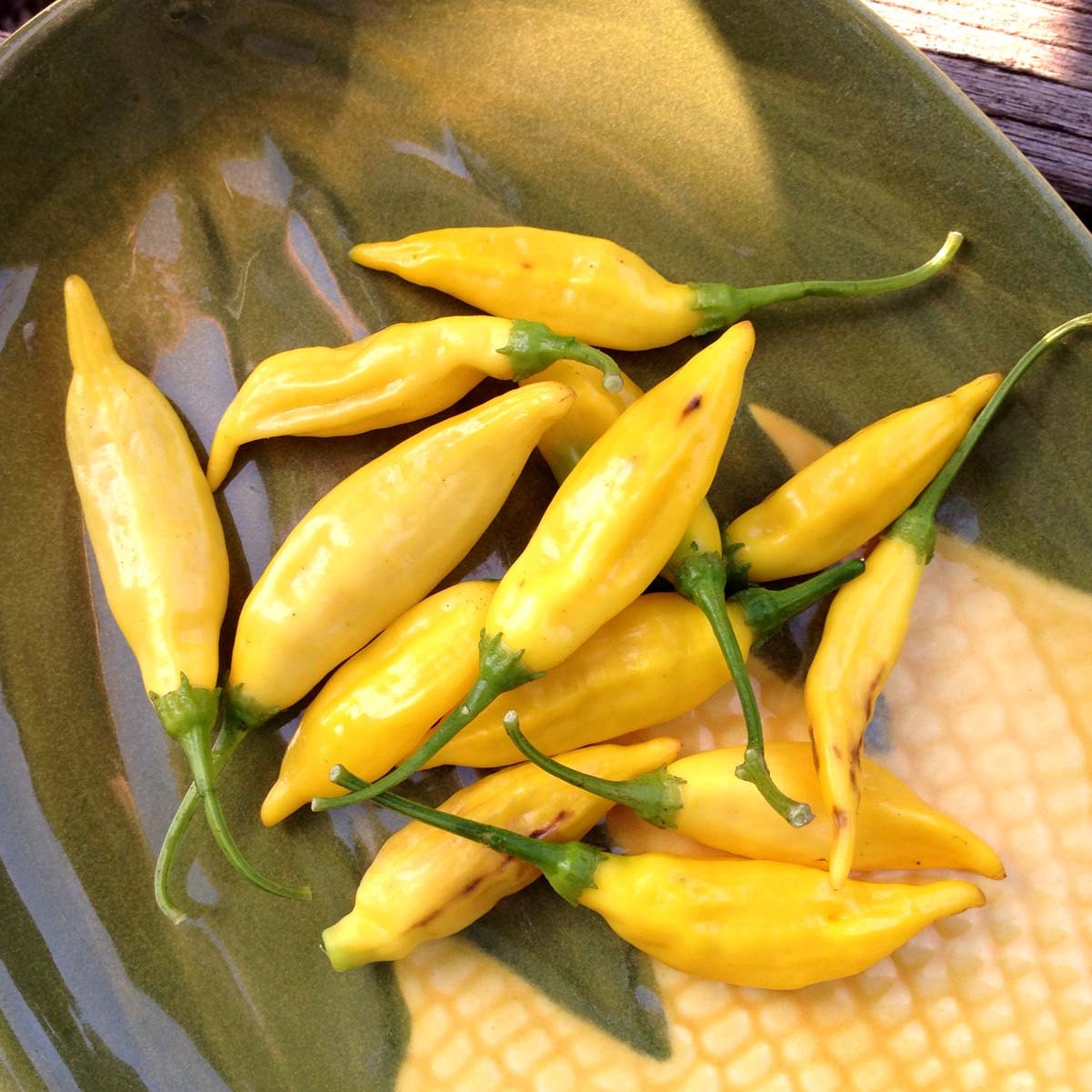 peruvian drop peppers