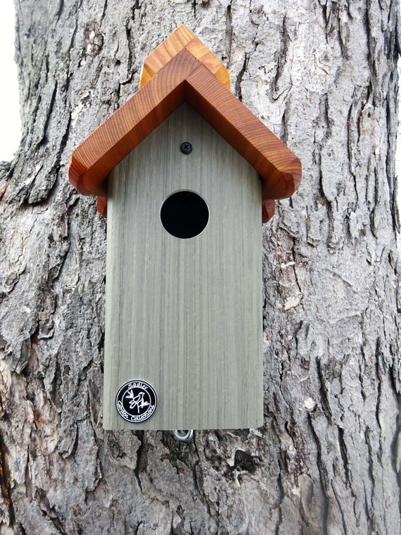 Bluebird house PVC Cedar Bird house fully by MyRetirementGig