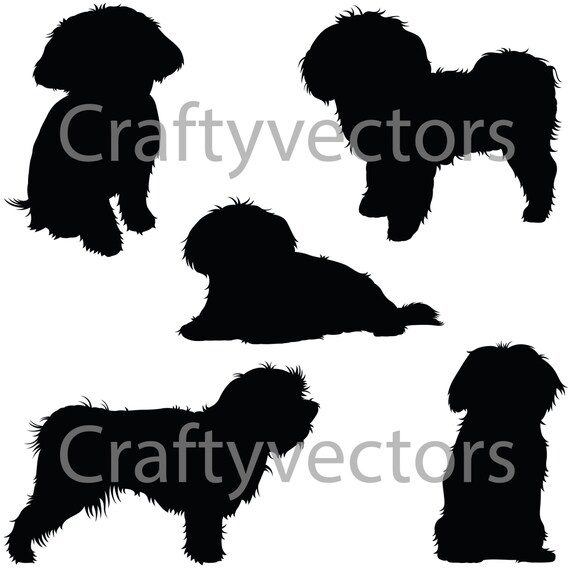 Maltese Dog Silhouettes Vector file