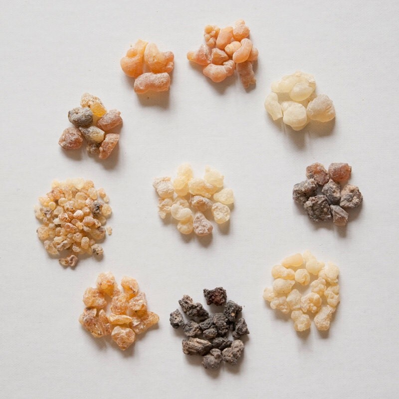 Frankincense Sample Set Boswellia species Natural Resin