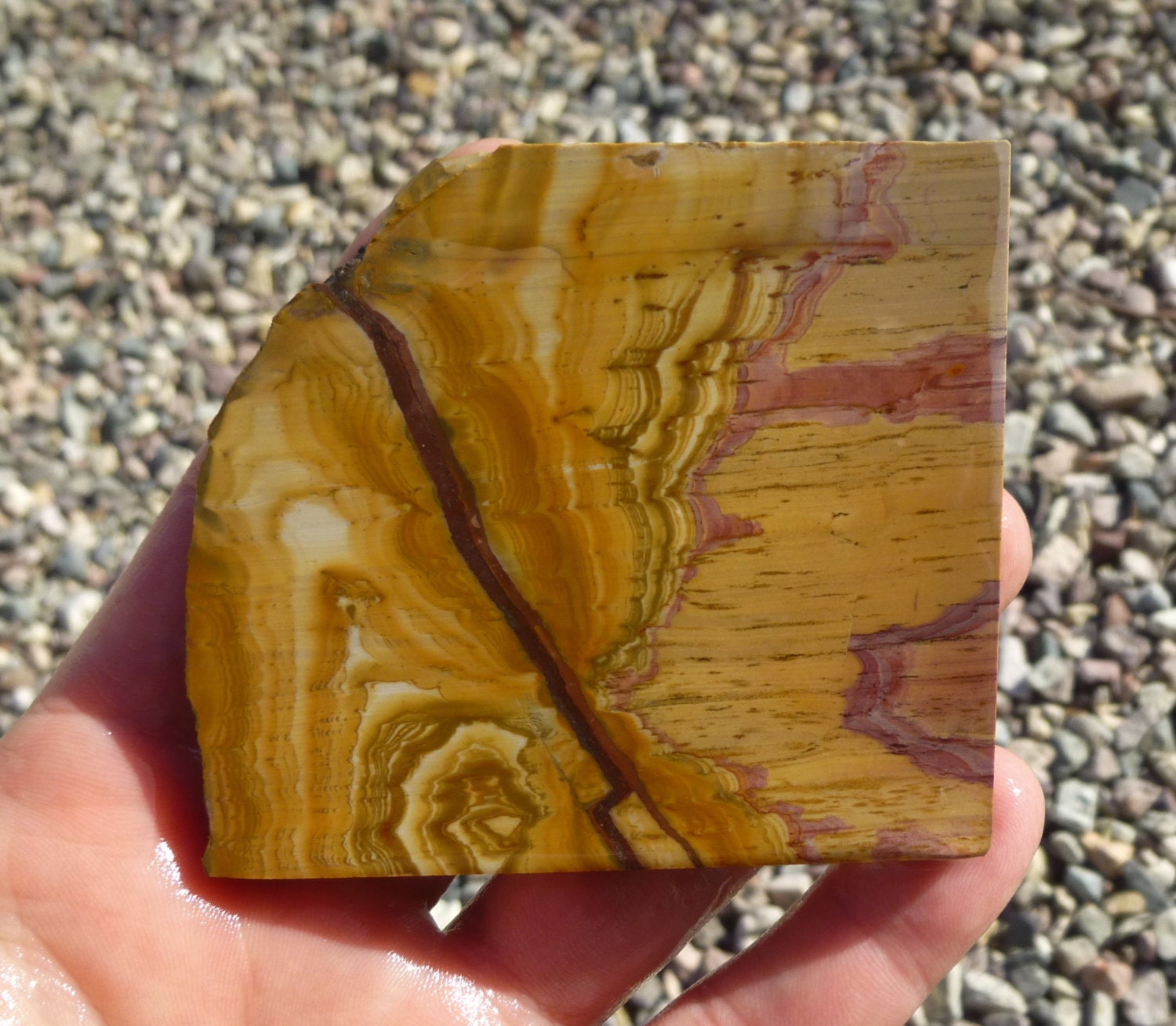 Nevada Paint Jasper Slab 70X70X9