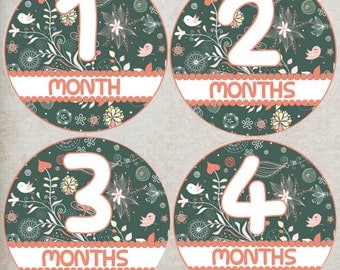 Floral Baby Month Stickers Girl, Month to Month Stickers, Baby Age Stickers, Bodysuit Stickers, Flowers