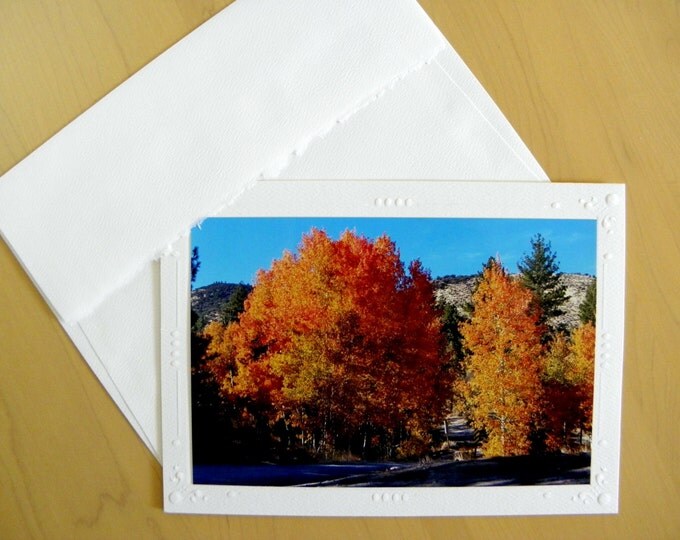 AUTUMN LANDSCAPE Greeting Card featuring copper-colored trees created by Pam Ponsart of Pam's Fab Photos for your special corresponance