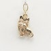 14Kt Gold Yorkshire Terrier Charm by Donna Pizarro from her