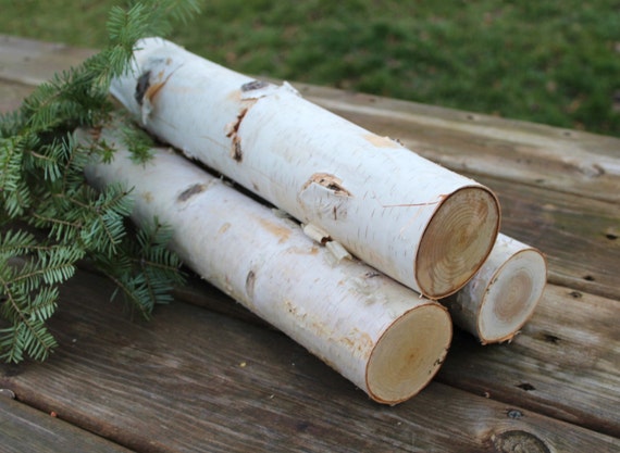 12'' Birch Logs/ 6 Decorative Birch Logs / Box full