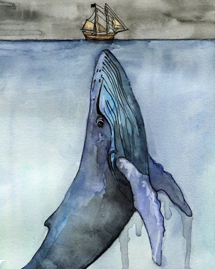 Watercolor Whale Painting Print titled by TheColorfulCatStudio