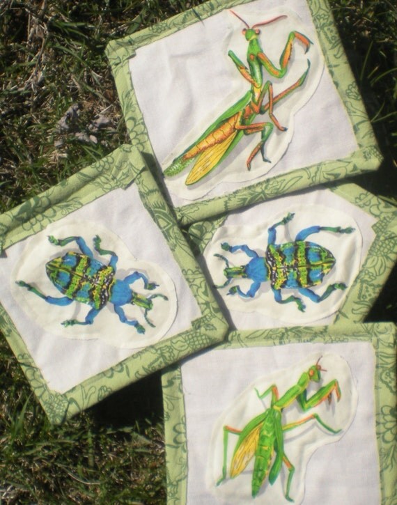 Bug Mug Rugs Praying Mantis Horned Beetle Colorful bugs