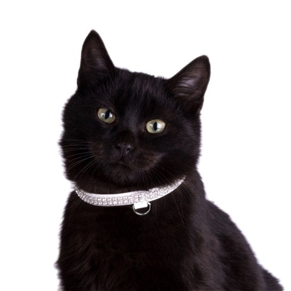 Rhinestone Cat Collar Leather Cat Collar Cat by CollarDirect