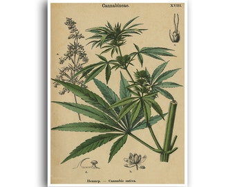 Marijuana Poster Cannabis Art Weed Print Hemp Plant Wall Decor Botanical 27