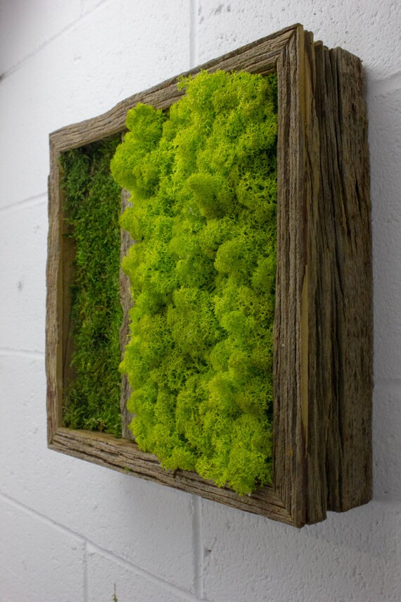 Twinz wasser kostenlos grüne wandkunst moos und von flowerboxetsy