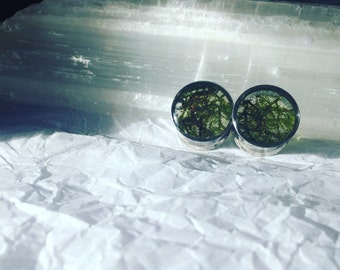 Forest inspired moss or lichen specimen plugs