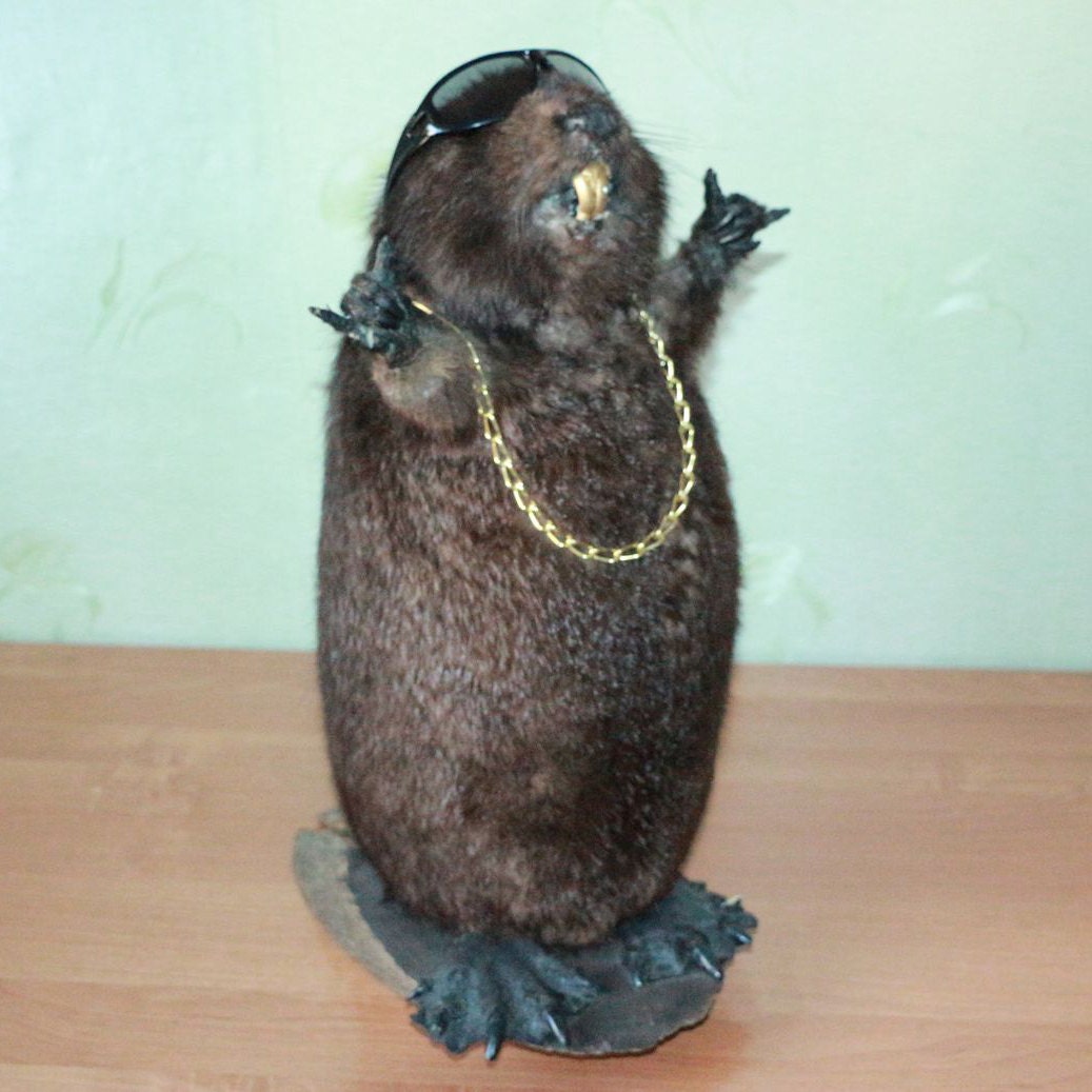 giant stuffed beaver