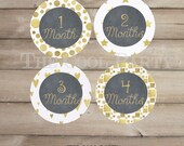 Baby Monthly Stickers ,baby month stickers,baby month stickers boy,baby month stickers girl,printable baby month stickers