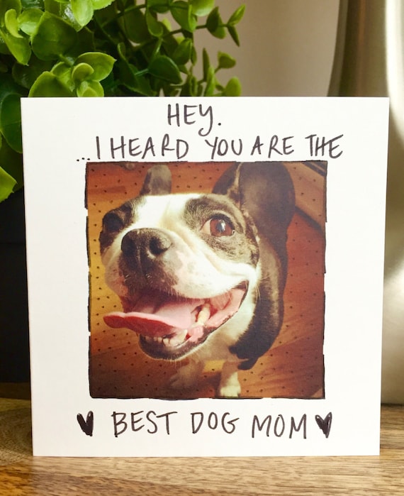 Funny Mothers Day Mother's Day Card 1 Mom dog mom