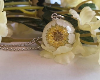 Daisy pendant real daisy necklace daisy jewelry pressed flower necklace daisy jewellery botanical gift for a nature lover spring fashion