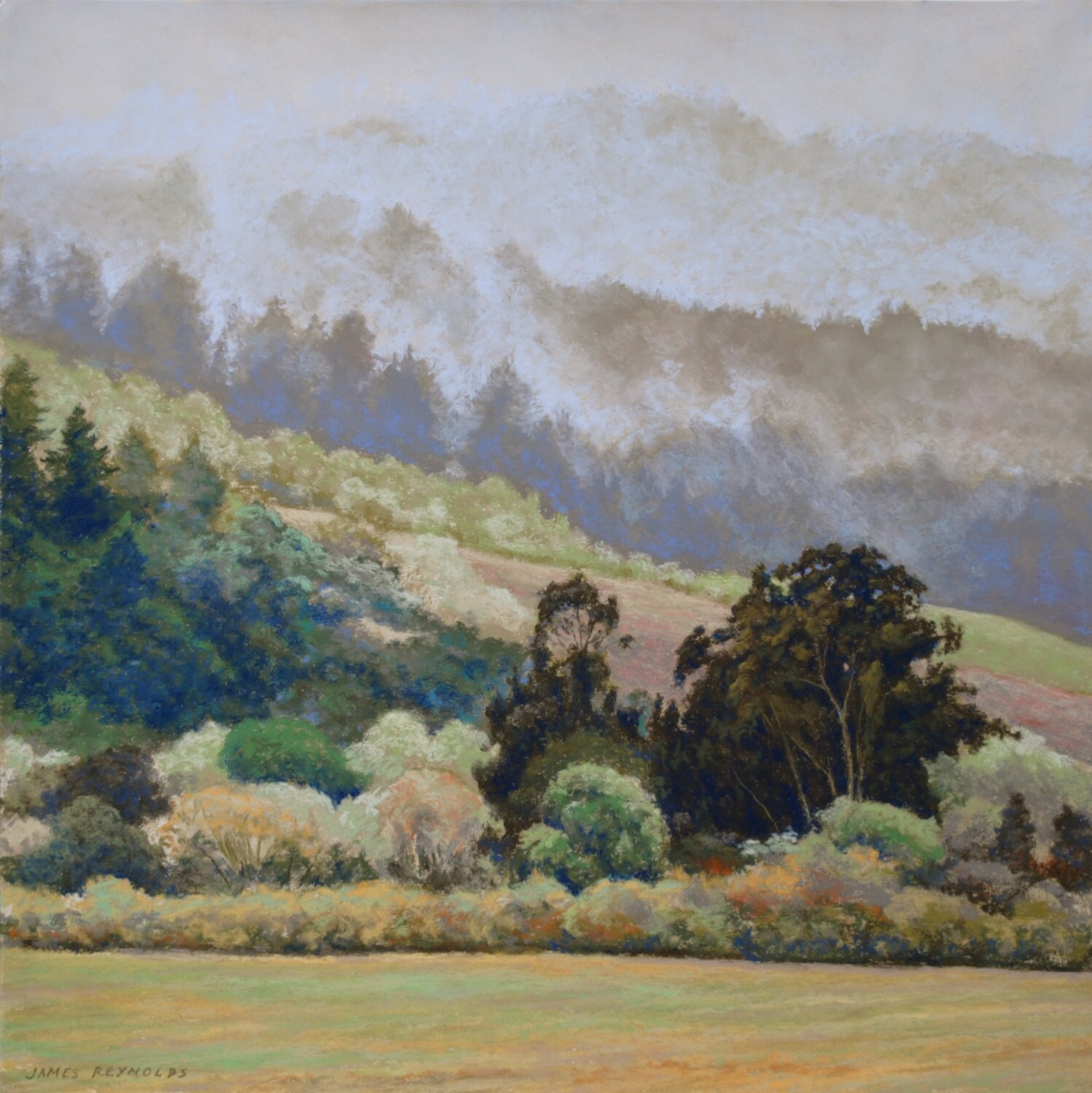 Sonoma County wall art California Wine Country Landscape
