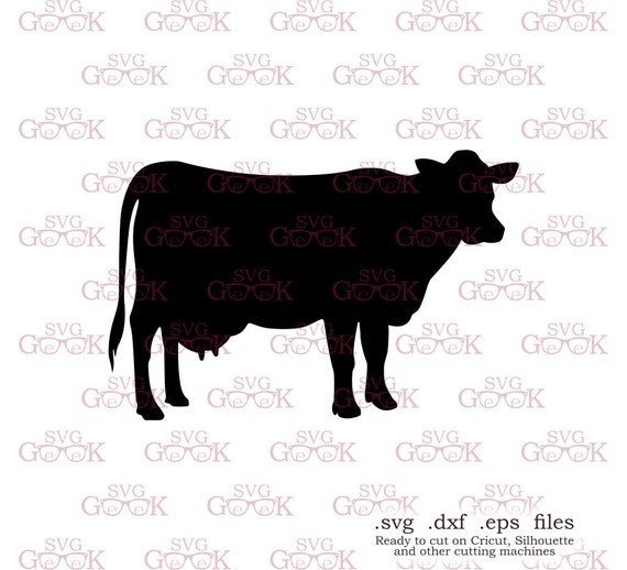 Cow SVG cut file for use with Silhouette Cricut and other
