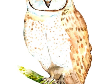Owl Print Art Bird Print Watercolor Owl Art Painting Owl Print Nursery Bird Cute Print kids room