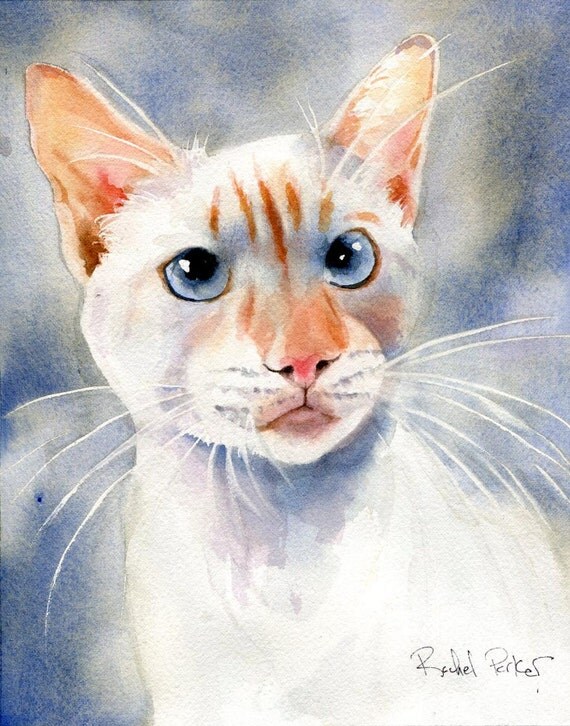 Flame Point Siamese Cat Clipart 50 Stunning Cliparts Fpscc