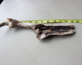 Two Tone Driftwood 13" With Bark , Drift wood Sculpture, Natural Beach Art Supply