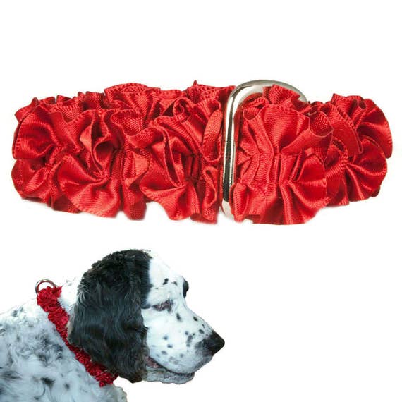Red Party Dog Collar 3/4 Red Ruffle Dog Collar Size