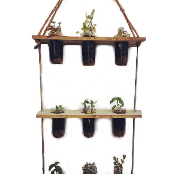 Vertical Herb Garden Mason Jar Planter Wall Planter