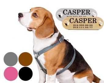 Leather Dog Harness with Free PERSONALIZED ID TAG Adjustable Puppy Small Medium Large Breeds Black Brown Pink Gray