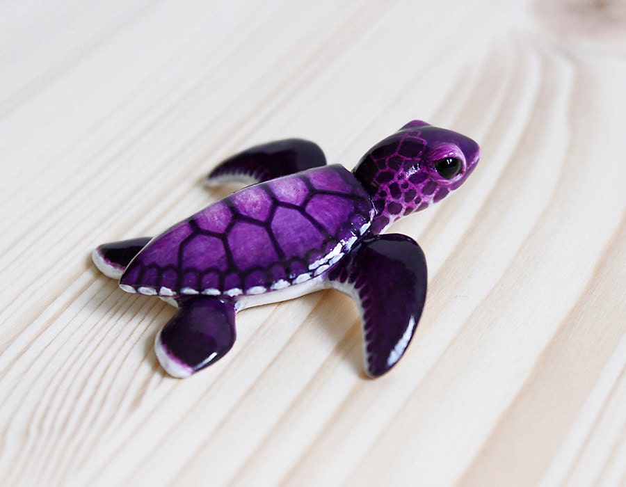 purple stuffed sea turtle