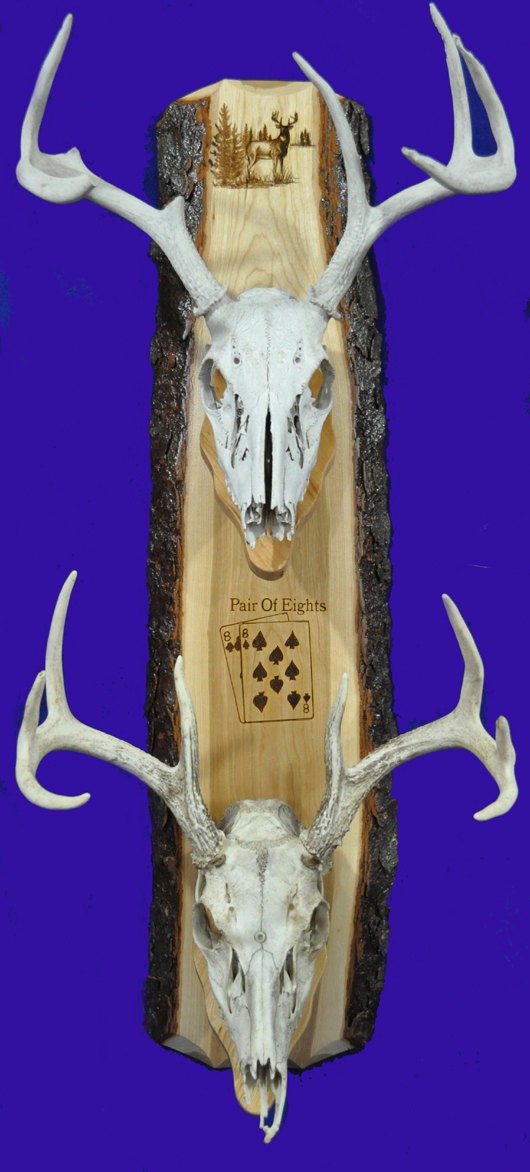 Hunting European Mount Plaque Deer By SpringbrookHunting   Il Fullxfull.871556850 Ii44 