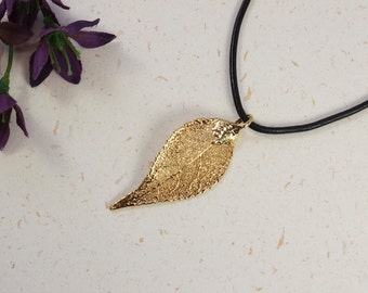 SALE Leaf Necklace, Gold Evergreen Leaf, Real Evergreen Leaf Necklace, Gold Leaf, Gold Leaf Pendant,SALE36