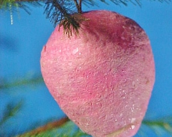 Antique c. 1900 Spun Cotton Pink Radish, Feather Tree, Christmas Ornament, German, Russian