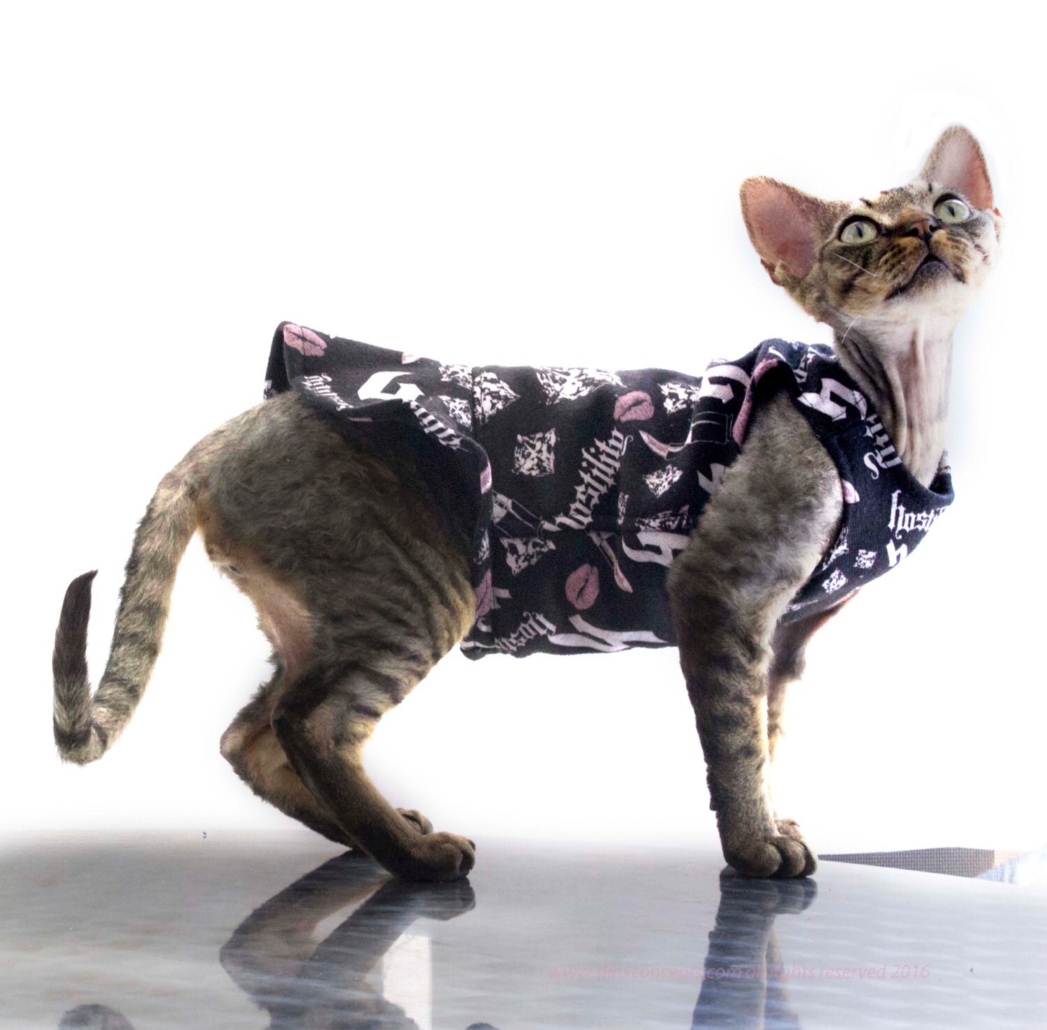 Cat Dress Sphynx Cat Clothes Sundress or Tank Top Cat