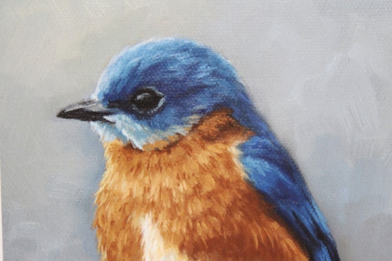 Eastern Bluebird bird painting Open edition by MollySimsFineArt