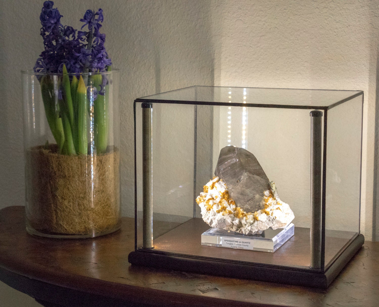 10x10x8 Lighted Display Case. Museum quality with