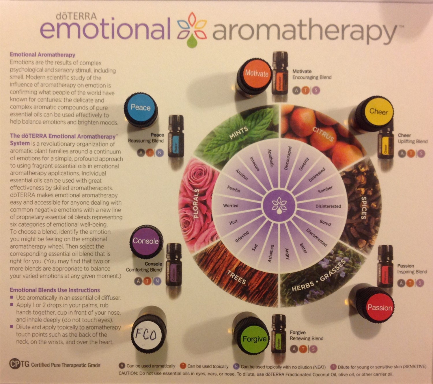 doterra emotional aromatherapy wheel