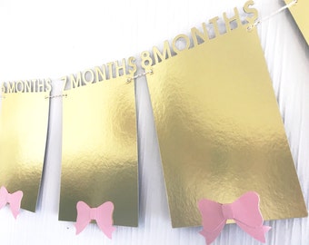 12 month photo banner. 1-12 month photos. Photo banner Baby's first birthday banner. First birthday decor.