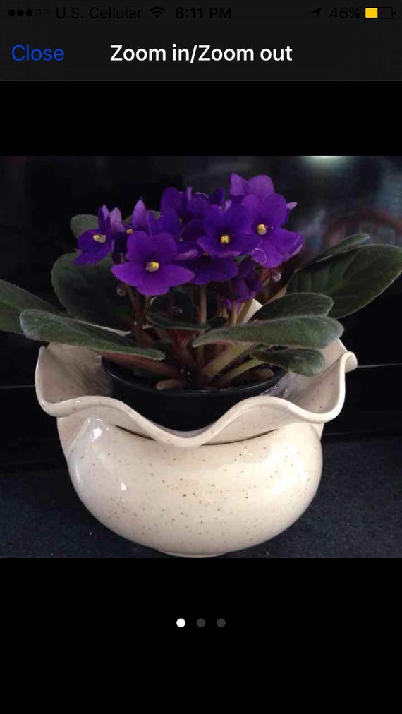 Self watering African violet planter