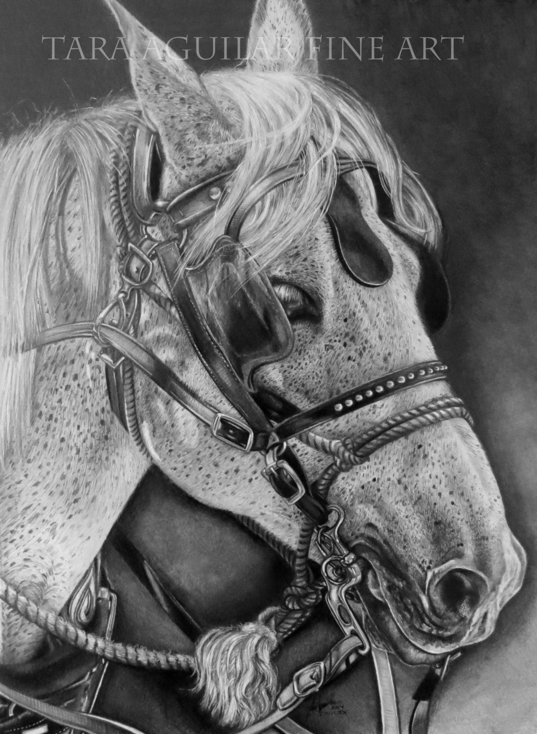 Horse Pencil Drawing Print Graphite Pencil Horse Print Black