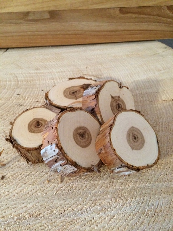 5 2 inch Cedar Wood Slices