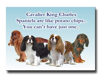 Cavalier King Charles Spaniel Can't Have Just One Fridge Magnet