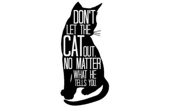 Cat decal cat sign Don't Let the Cat Out. No by MonsterAndMunchkin